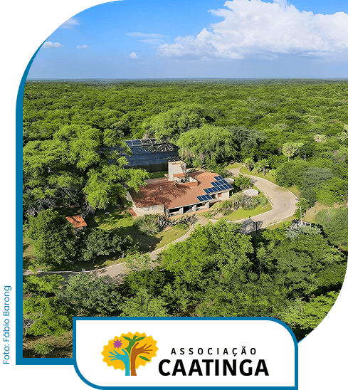 Paisagem Caatinga